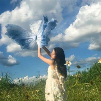 野兽家族第六季